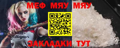 стафф Гай