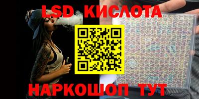 стафф Гай
