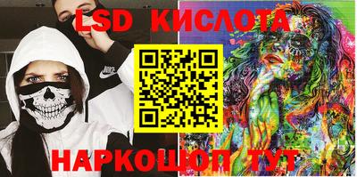 стафф Гай