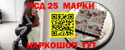 стафф Гай