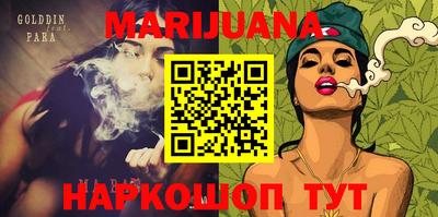 стафф Гай