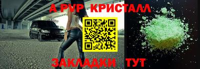 стафф Гай